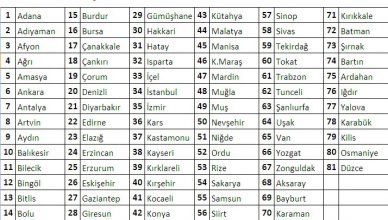 şehirlerarası telefon alan kodları